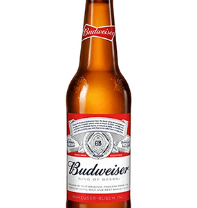 Budweiser Beer